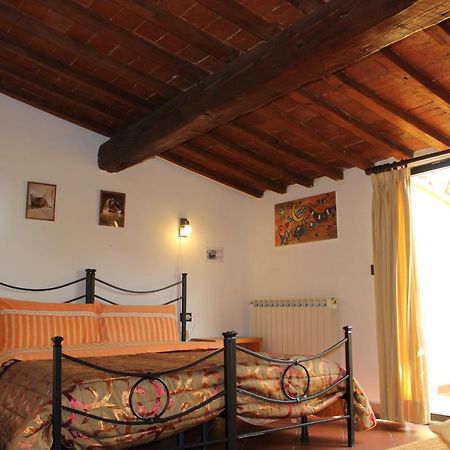 Zmax Zanobi Studios Firenze Esterno foto